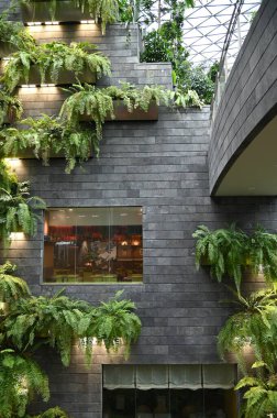 Changi, Singapore - July 13, 2022: The Modern Landscapes of Changi Airport