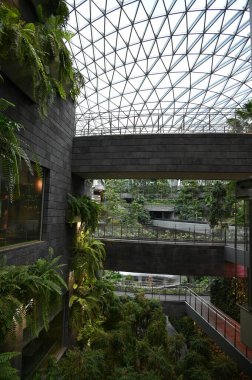Changi, Singapur - 13 Temmuz 2022: Changi Havalimanı Modern Peyzajları