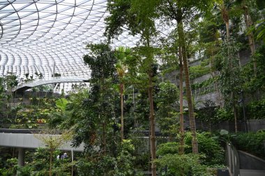 Changi, Singapur - 13 Temmuz 2022: Changi Havalimanı Modern Peyzajları