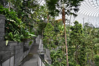 Changi, Singapur - 13 Temmuz 2022: Changi Havalimanı Modern Peyzajları