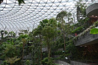 Changi, Singapur - 13 Temmuz 2022: Changi Havalimanı Modern Peyzajları