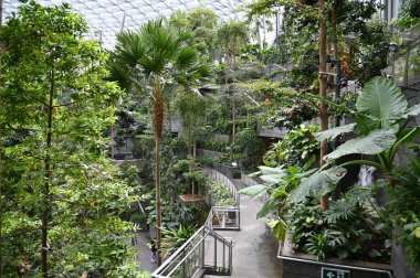 Changi, Singapur - 13 Temmuz 2022: Changi Havalimanı Modern Peyzajları