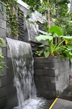 Changi, Singapur - 13 Temmuz 2022: Changi Havalimanı Modern Peyzajları