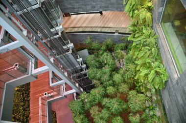 Changi, Singapur - 13 Temmuz 2022: Changi Havalimanı Modern Peyzajları