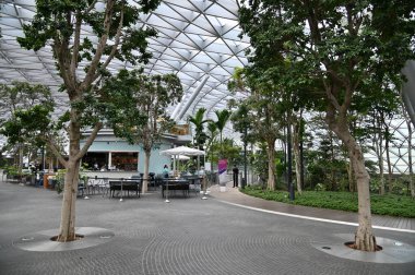 Changi, Singapur - 13 Temmuz 2022: Changi Havalimanı Modern Peyzajları