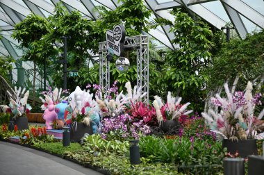 Changi, Singapur - 13 Temmuz 2022: Changi Havalimanı Modern Peyzajları