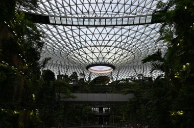Changi, Singapur - 13 Temmuz 2022: Changi Havalimanı Modern Peyzajları