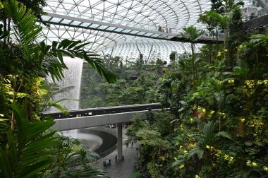 Changi, Singapur - 13 Temmuz 2022: Changi Havalimanı Modern Peyzajları