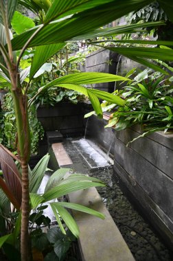 Changi, Singapur - 13 Temmuz 2022: Changi Havalimanı Modern Peyzajları