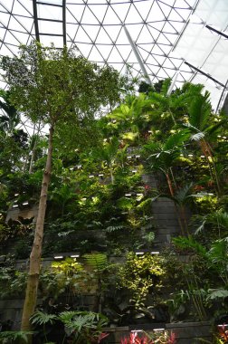 Sentosa, Singapur - 14 Temmuz 2022: Sentosa Adası Tarihi Binalar ve Turist Çekimleri, Singapur