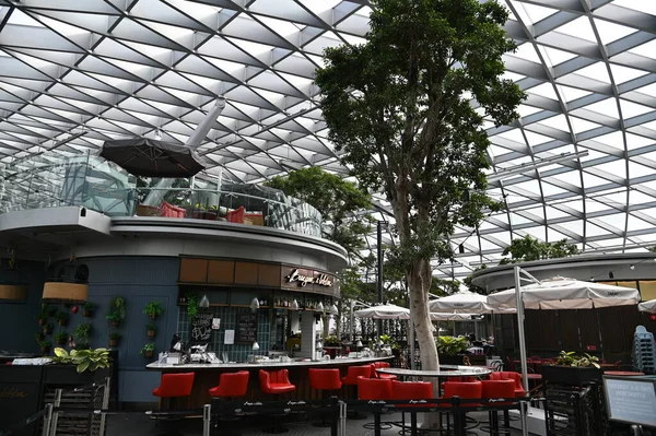 Changi Singapore July 2022 Modern Landscapes Changi Airport — Photo