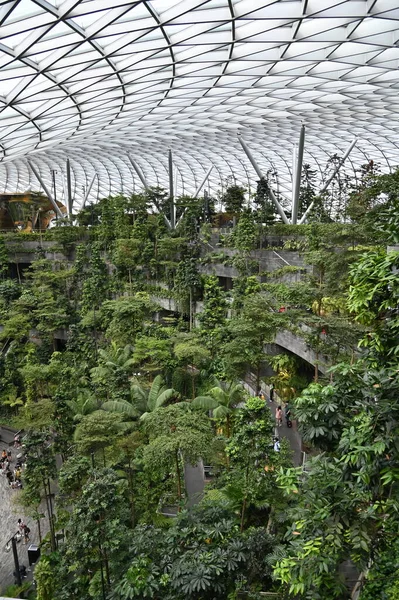 Changi Singapore July 2022 Modern Landscapes Changi Airport — Φωτογραφία Αρχείου