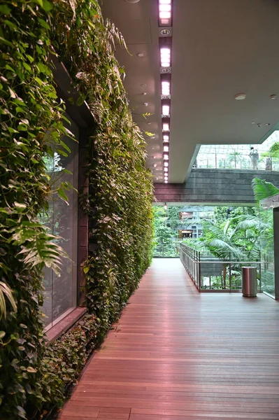 Changi, Singapur - 13 Temmuz 2022: Changi Havalimanı Modern Peyzajları