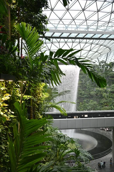 Changi Singapore July 2022 Modern Landscapes Changi Airport — Foto Stock