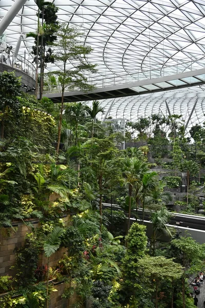 Changi Singapore July 2022 Modern Landscapes Changi Airport — Φωτογραφία Αρχείου