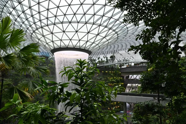 Changi Singapore July 2022 Modern Landscapes Changi Airport —  Fotos de Stock