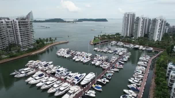 Sentosa Singapore July 2022 Landmark Buildings Tourist Attractions Sentosa Island — стокове відео