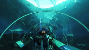 Sentosa, Singapur - 14 Temmuz 2022: Sentosa Adası Tarihi Binalar ve Turist Çekimleri, Singapur