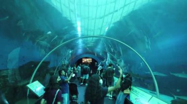 Sentosa, Singapur - 14 Temmuz 2022: Sentosa Adası Tarihi Binalar ve Turist Çekimleri, Singapur