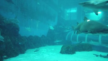 Sentosa, Singapur - 14 Temmuz 2022: Sentosa Adası Tarihi Binalar ve Turist Çekimleri, Singapur