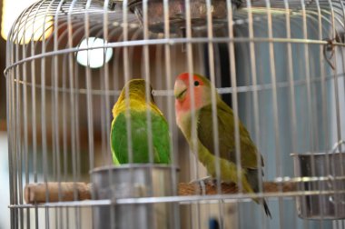 Singapur Şehri, Singapur - 16 Temmuz 2022: Bugis Sokakları, Orchard ve Çin Mahallesi