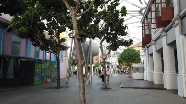 Singapore City Singapore July 2022 Streets Bugis Orchard Chinatown — Stockvideo