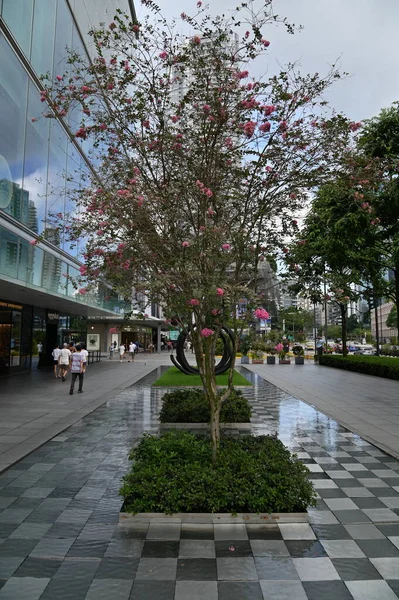 Marina Bay Singapore July 2022 Marina Bay Cruise Centre Terminal — Stockfoto