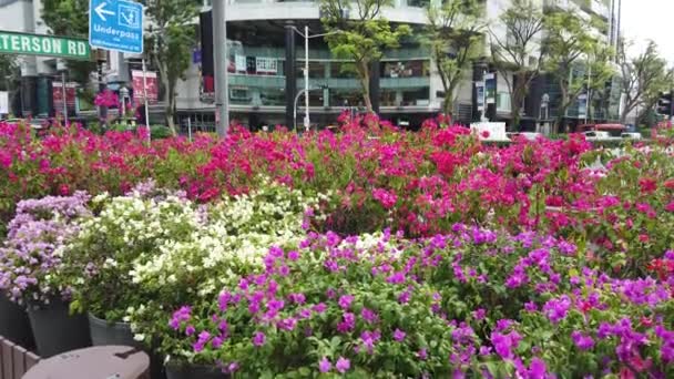 Marina Bay Singapur Července 2022 Terminál Výletního Střediska Marina Bay — Stock video