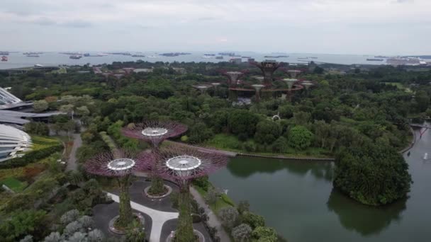 Marina Bay Singapore July 2022 Landmark Buildings Tourist Attractions Singapore — Wideo stockowe
