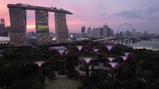 Marina Bay Singapore July 2022 Landmark Buildings Tourist Attractions Singapore — ストック動画