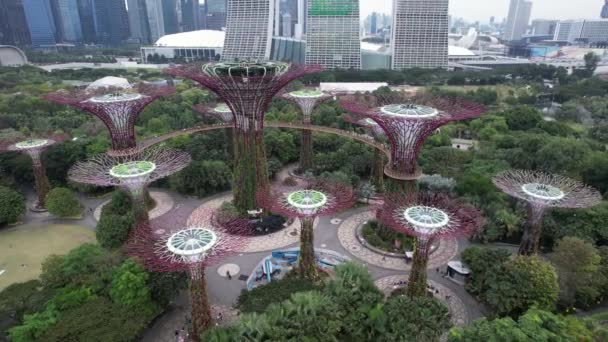 Marina Bay Singapore July 2022 Landmark Buildings Tourist Attractions Singapore — 图库视频影像