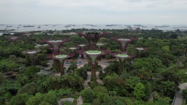 Marina Bay Singapore July 2022 Landmark Buildings Tourist Attractions Singapore — Stok video