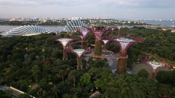 Marina Bay Singapore July 2022 Landmark Buildings Tourist Attractions Singapore — Stok fotoğraf