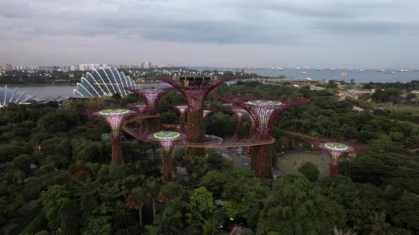 Marina Bay Singapore July 2022 Landmark Buildings Tourist Attractions Singapore — Vídeo de stock