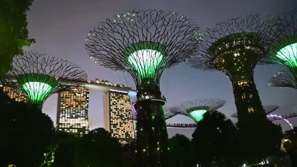 Marina Bay Singapore July 2022 Landmark Buildings Tourist Attractions Singapore — 图库视频影像