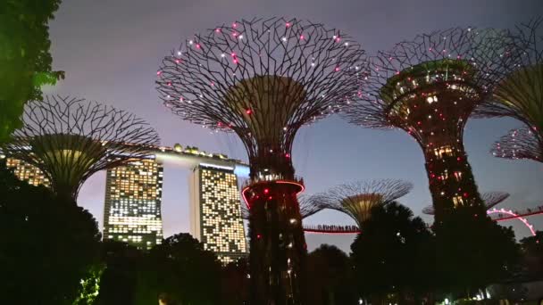 Marina Bay Singapore July 2022 Landmark Buildings Tourist Attractions Singapore — 비디오