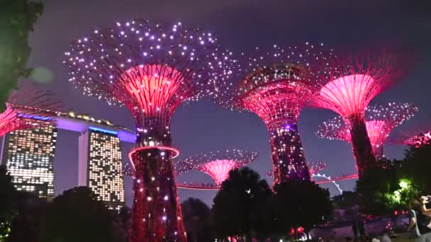 Marina Bay Singapore July 2022 Landmark Buildings Tourist Attractions Singapore — 图库视频影像