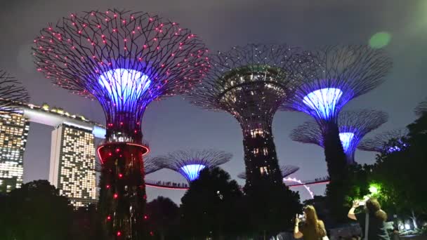 Marina Bay Singapore July 2022 Landmark Buildings Tourist Attractions Singapore — стоковое видео