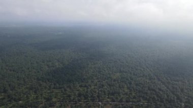 Sarawak 'taki Palm Oil Konutları, Borneo Adası, Malezya