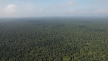 Sarawak 'taki Palm Oil Konutları, Borneo Adası, Malezya