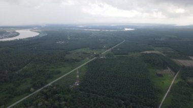 Sarawak 'taki Palm Oil Konutları, Borneo Adası, Malezya