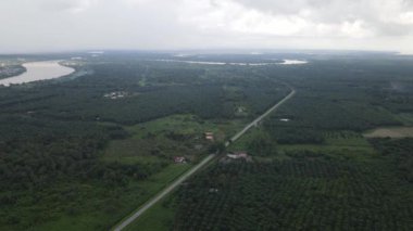 Sarawak 'taki Palm Oil Konutları, Borneo Adası, Malezya