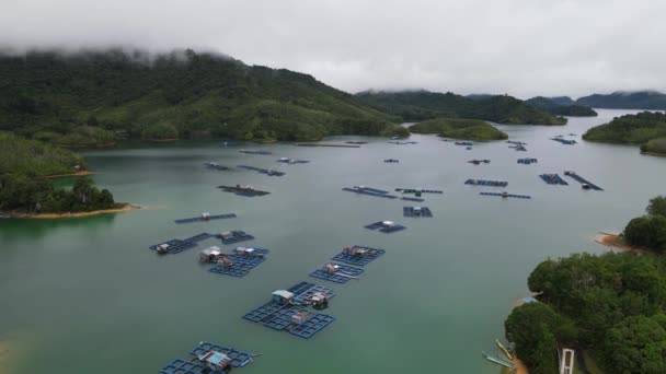 Batang Dam Sarawak Borneo Malaysia — Wideo stockowe