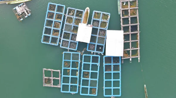 Aerial View Fish Farms Norway — 图库照片