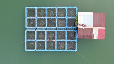 Aerial View of Fish Farms in Norway