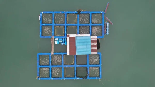Aerial View Fish Farms Norway — Stockfoto