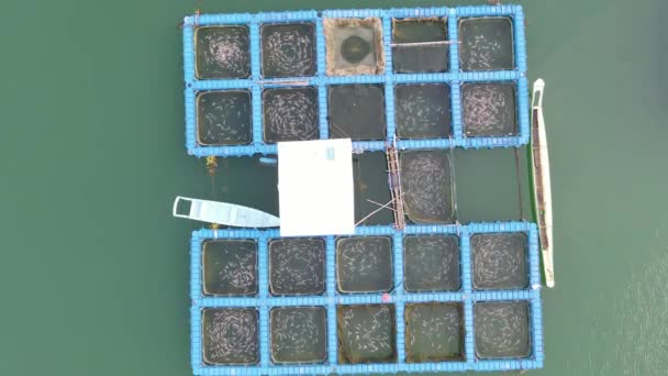 Aerial View Fish Farms Norway — Wideo stockowe