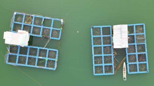 Aerial View Fish Farms Norway — Vídeos de Stock