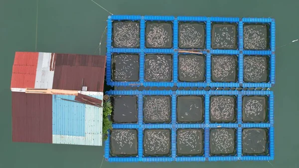 Aerial View Fish Farms Norway — Photo
