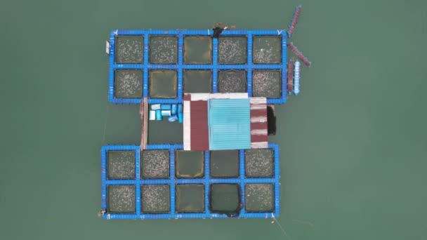 Aerial View Fish Farms Norway — Stockvideo